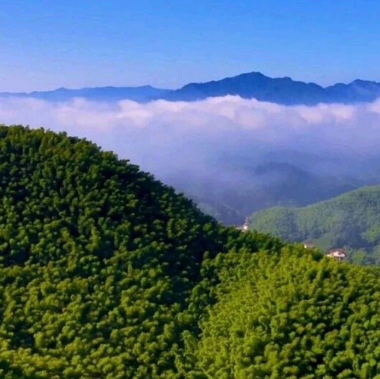 习近平党建思想系列解读...