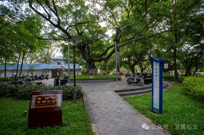 微信图片_20260831093241_340_9.jpg