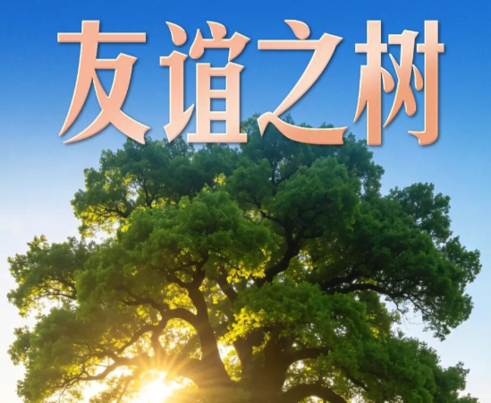 在白宫,习近平提到了一...