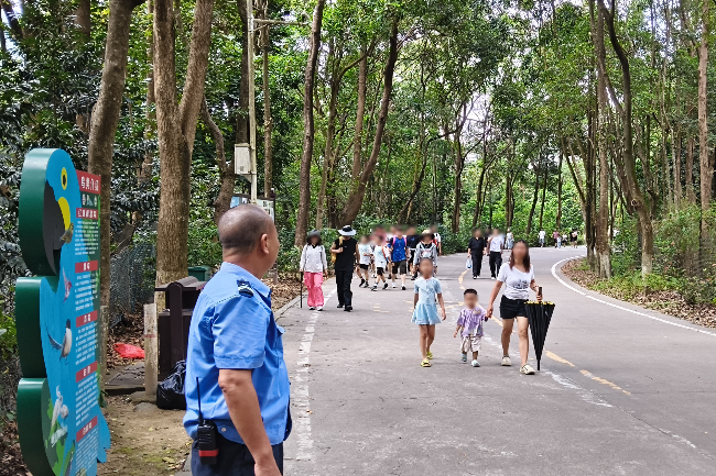 景区内步道 拷贝马赛克.jpg