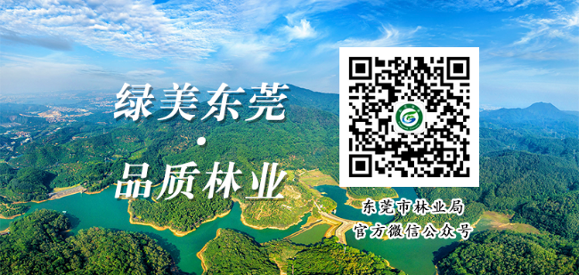 已编辑图片